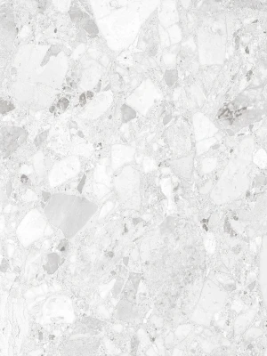 Glancētas flīzes TERRAZZO LIGHT GREY, 60x60 cm, LE